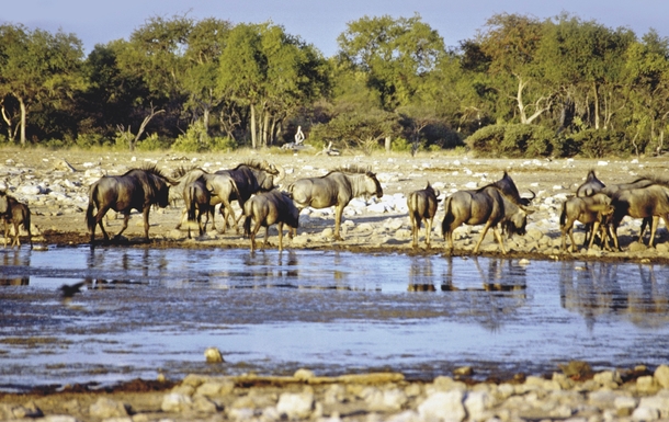 Namibia Rundreise 