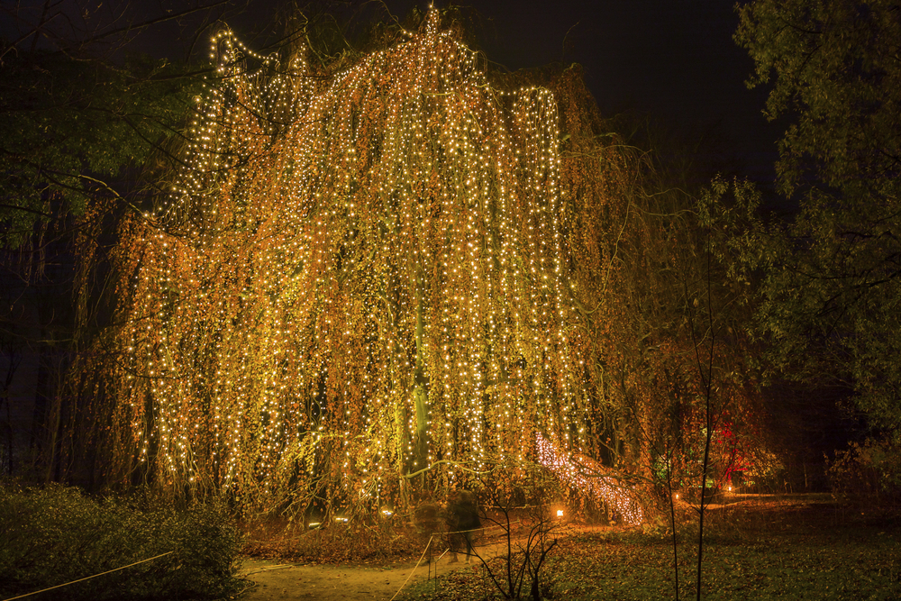 Christmas Garden Berlin