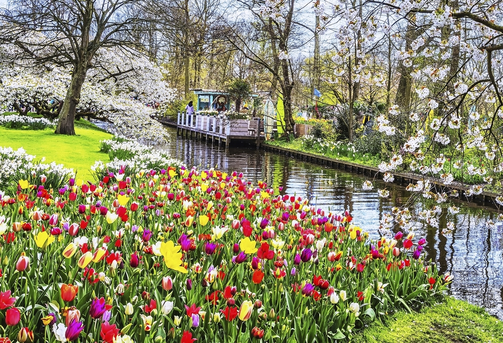 Keukenhof