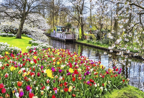 Keukenhof