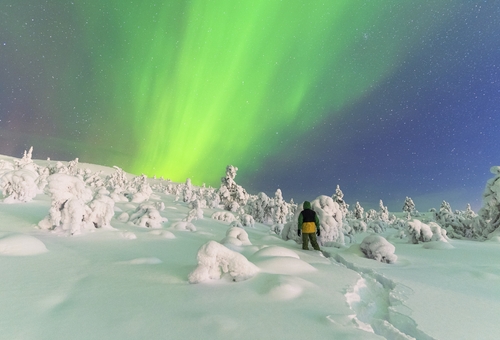 Nordlichter Lappland