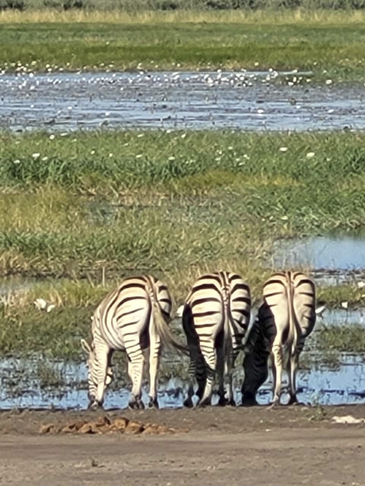 Bwabwata Nationalpark, Namibia