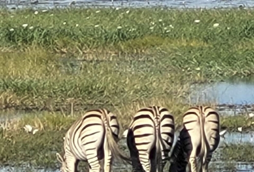 Bwabwata Nationalpark, Namibia