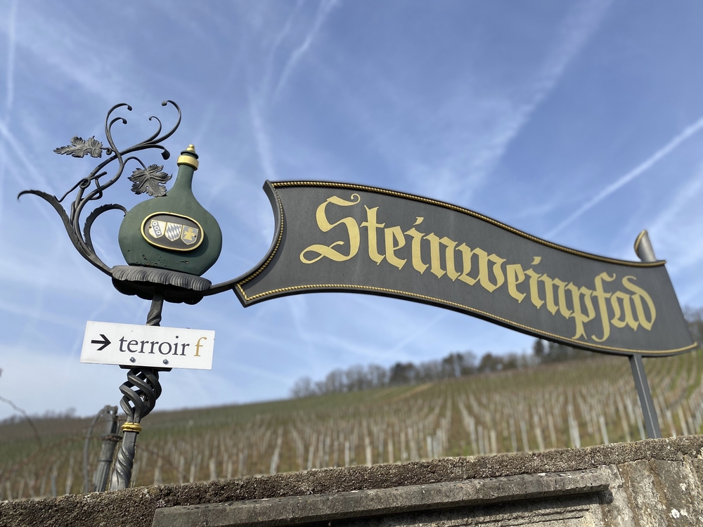 Stein Wein Pfad Würzburg 