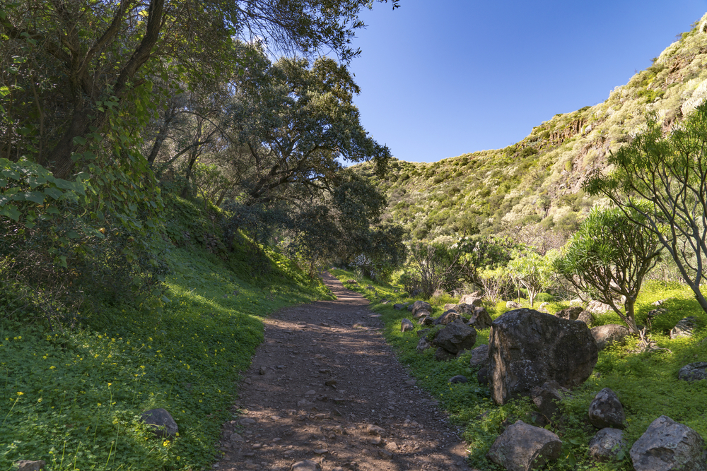 Barranco de los Cernícalos, Gran Canaria