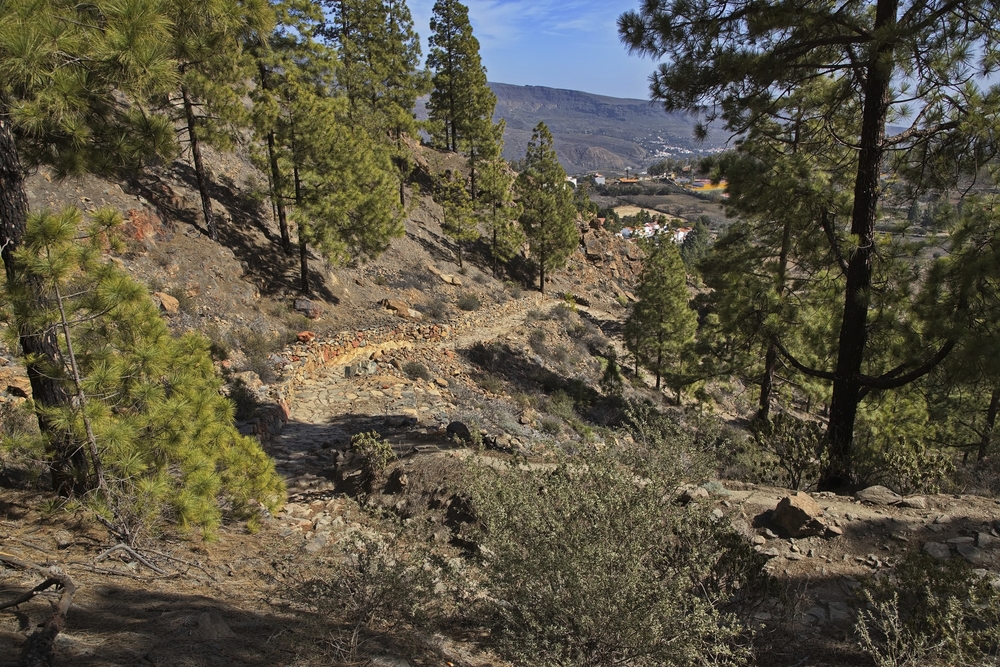 Merendero del Algarrobero, Gran Canaria