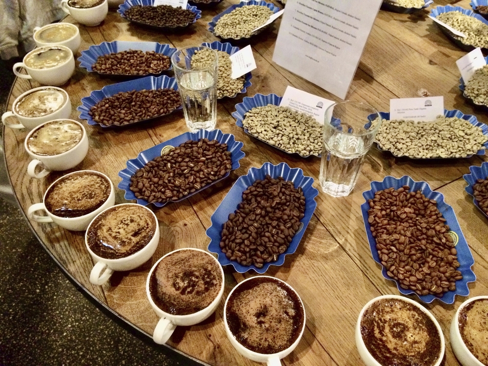 Ausstellung von den verschiedenen Kaffeesorten im Kaffeemuseum Burg in Hamburg