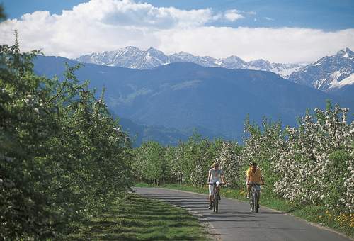 Radfahrer im Südtirol