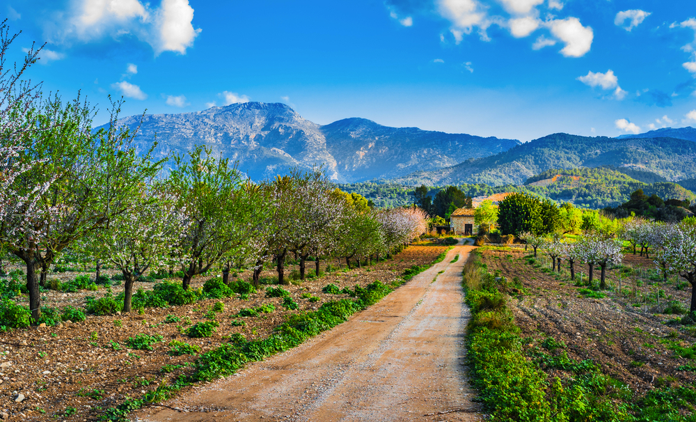 Landschaft von Mallorca