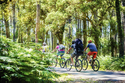 Per Rad von der Neiße in den Spreewald / HNA