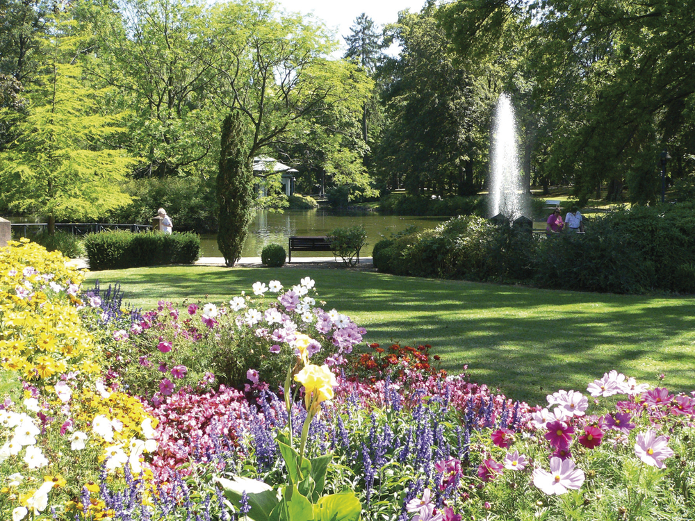 Kurpark mit Blumen in Bad Wildungen