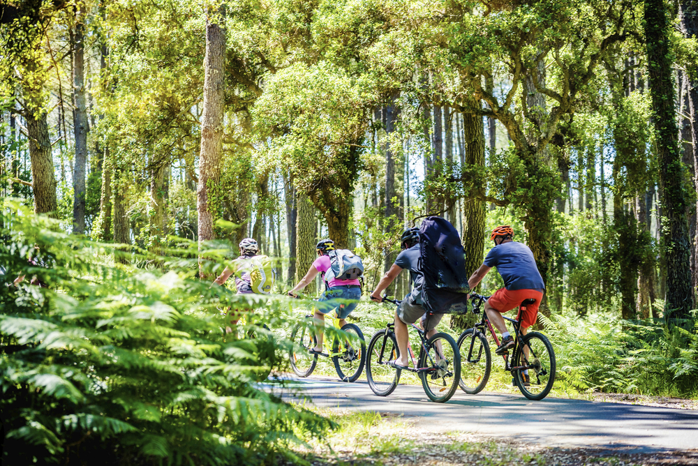 Fahrradtour durch einen Wald