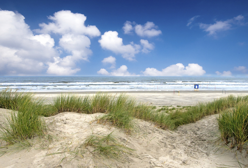 Dünen am Strand von Norderney