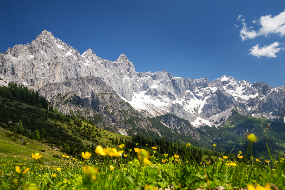 Blick zur Dachstein-Südwand