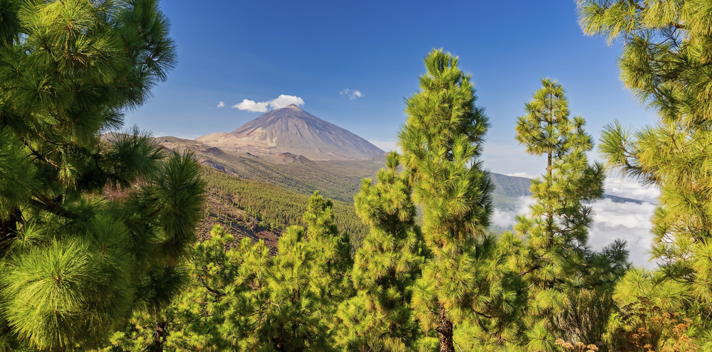 Teide Teneriffa