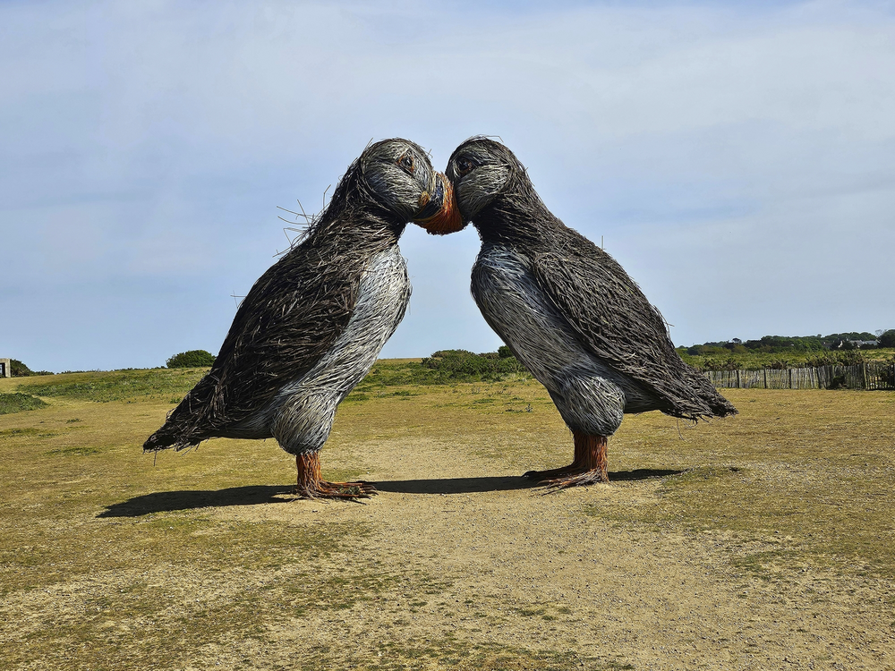 Puffin-Kunstwerk auf Jersey