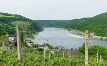 Ein Blick auf den Rhein